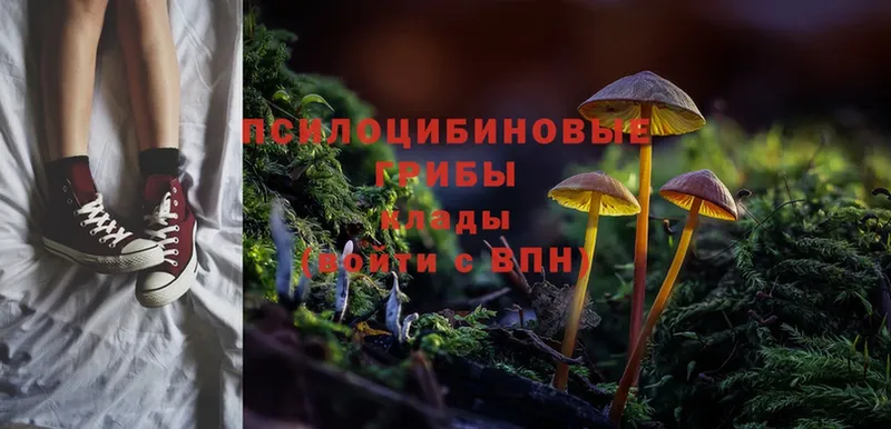 купить   даркнет состав  Псилоцибиновые грибы Psilocybine cubensis  Бахчисарай 